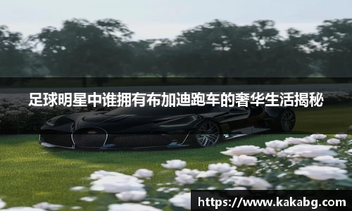 ub8优游官方网站